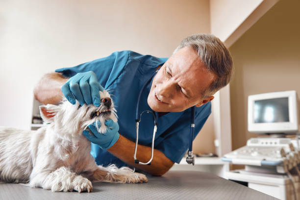  Albany, TX Emergency Dentist Pros